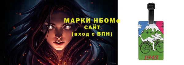 индика Киреевск