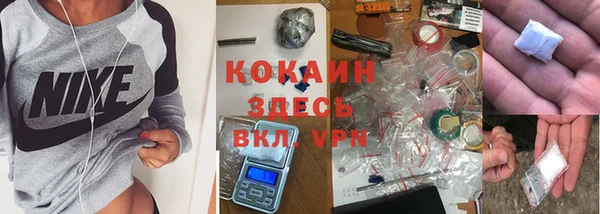 сатива Карталы