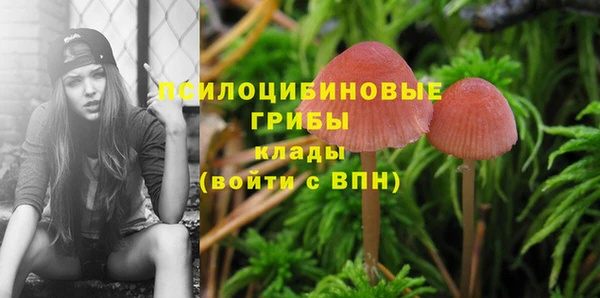 сатива Карталы