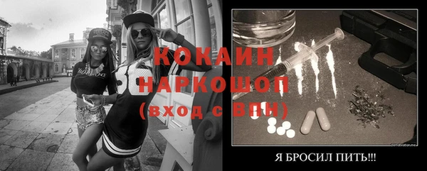 сатива Карталы